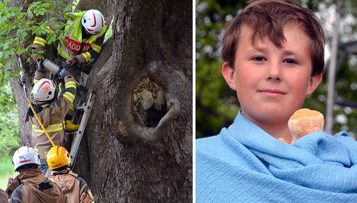 Erik, 10, hade lite skrapsår när han kom ut från trädet, men inte värre än att han kunde ta cykeln hem.