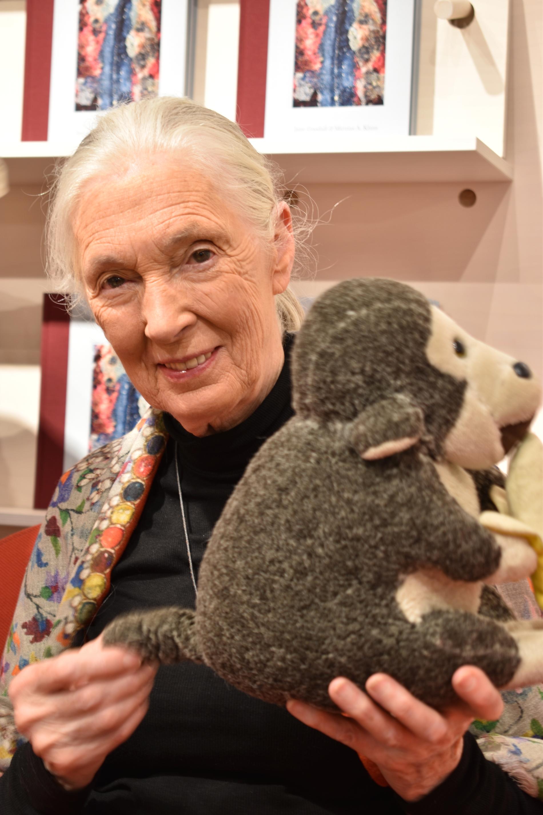 Jane Goodall besöker Stockholm i samband med den biologiska mångfaldens dag. Kramdjuret på bilden följer alltid med på hennes resor.