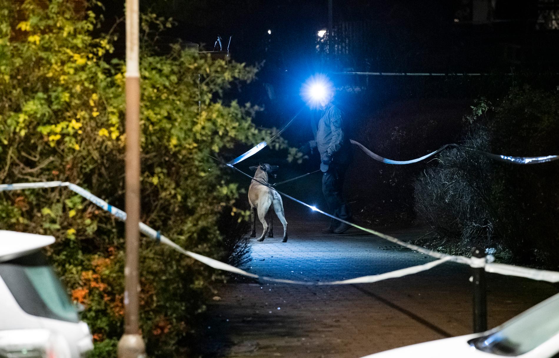 Malmö i december 2019: Polis med vapenhund söker innanför avspärrningarna efter att en 25-årig man skjutits till döds området. Arkivbild.