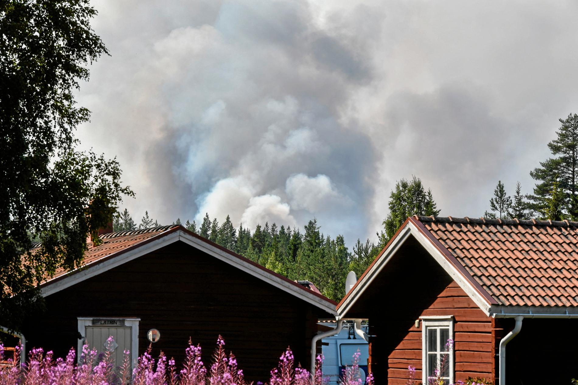Kraftig brandrök vid en skogsbrand nära Färila, Ljusdal.