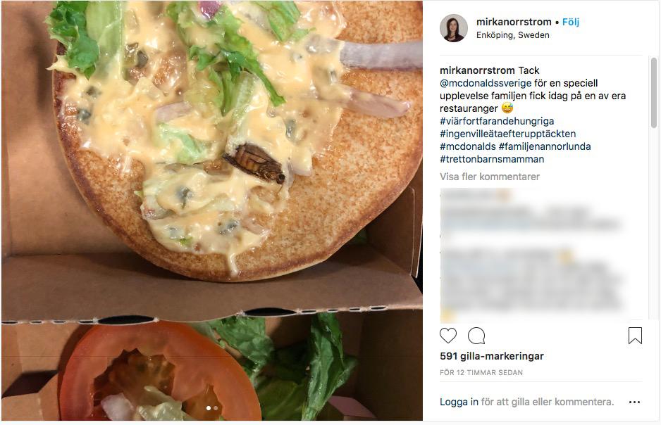 Tv-profilen Mirka Norrströms son hittade en insekt i sin hamburgare på McDonalds.