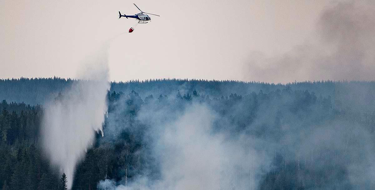 Den långa, heta skogsbrands­sommaren lamslog stora delar av Sverige. 