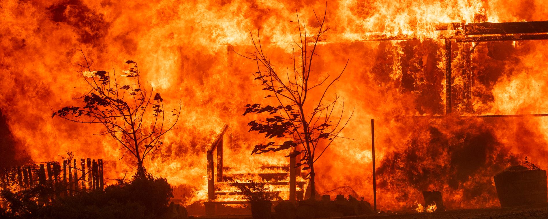 Skogsbrand i Kalifornien. 