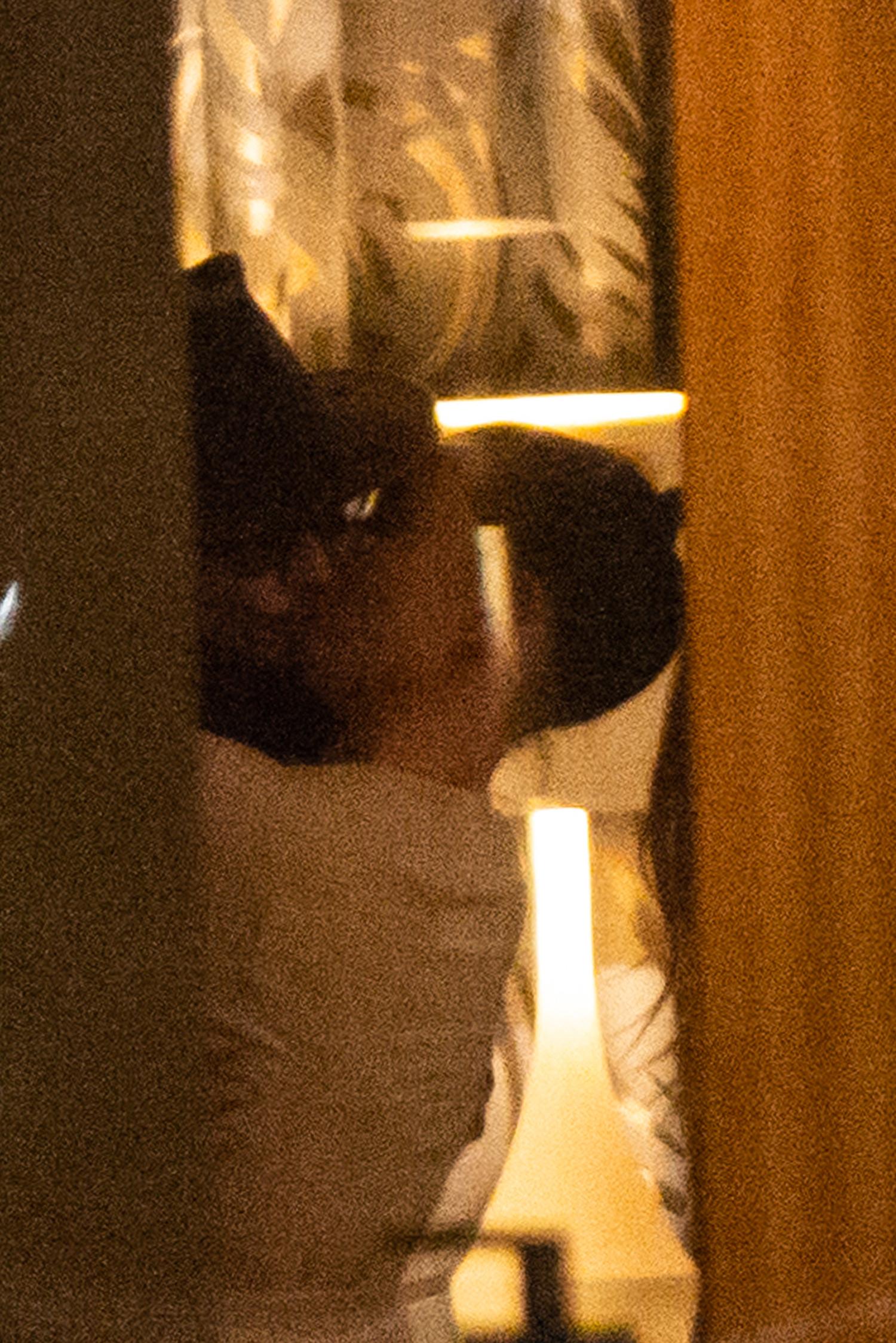 Johnny Depp och Polina Glen fångas på bild i sitt hotellrum i Belgrad. 