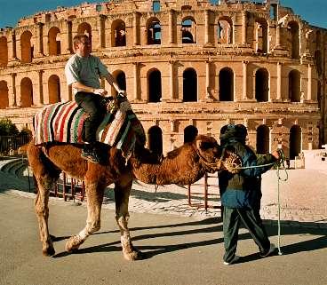I Tunisien går det inte att undgå ett erbjudande om en kameltur. Men har du aldrig provat så passa på - det kan bli riktigt kul.
