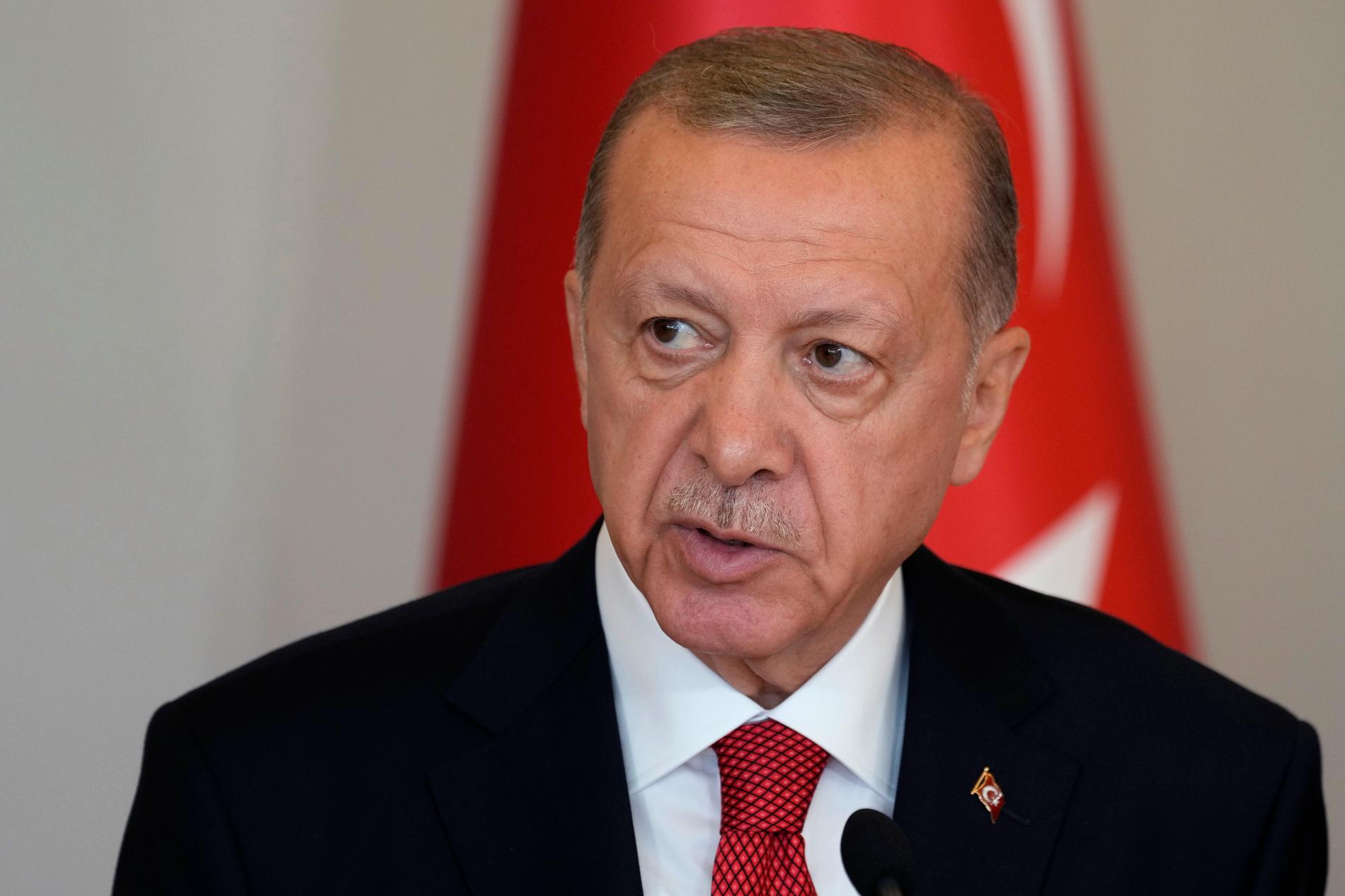 Den turkiske presidenten Recep Tayyip Erdogan berättar i en intervju att ett statsbesök kommer att bli av.