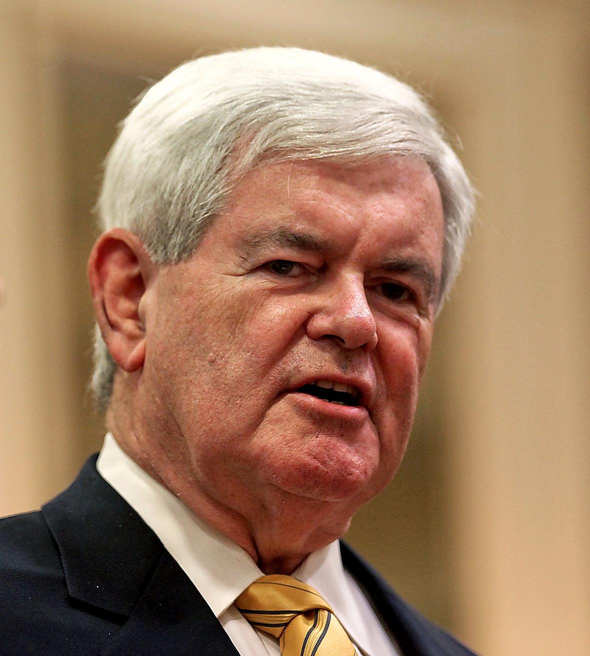 FRONT RUNNER Newt Gingrich har gått från uträknad till favorittippad i kampen om vem som ska få utmana Barack Obama i presidentvalet.