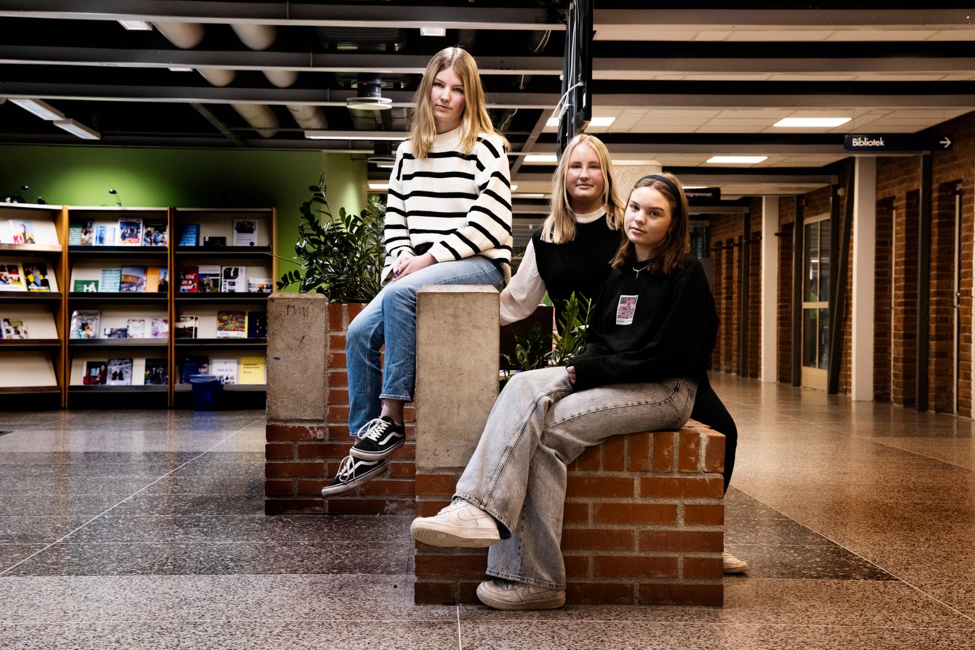 Framtiden känns oviss för Linnea Borgström, Minna Eurén och Alma Hagström.