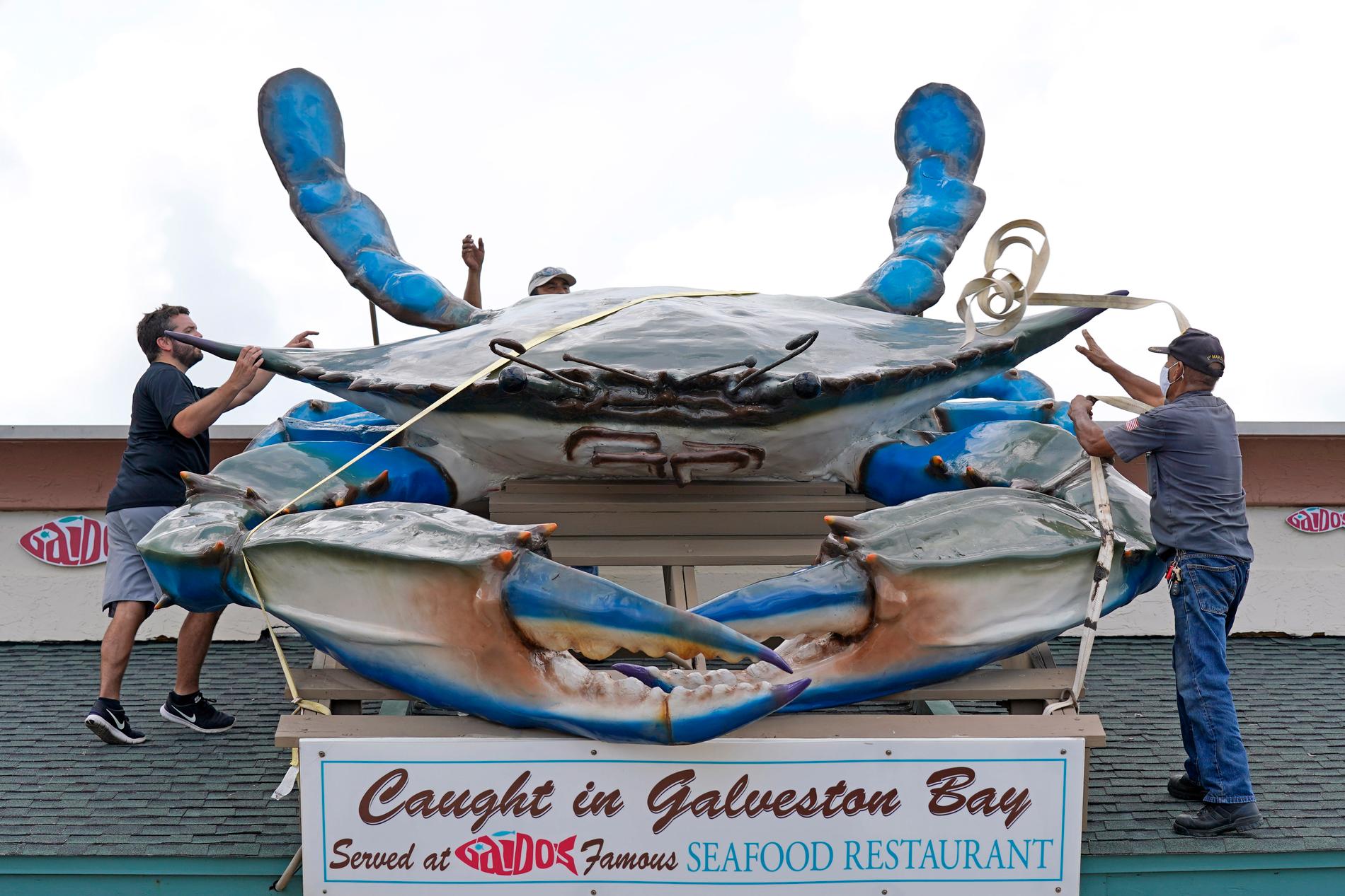 Personal försöker med remmar säkra en gigantisk reklamfigur på Gaido's Seafood Restaurant i Galveston, Texas, inför Lauras ankomst.