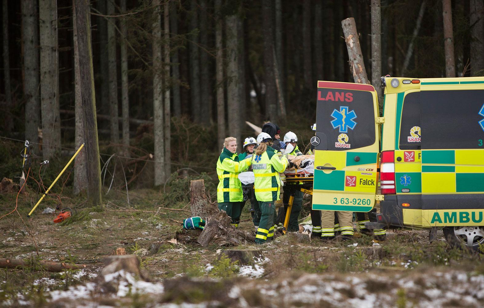 En person omkom sedan han träffats av ett fallande träd. Olyckan inträffade vid 13-tiden i Södra Rörum i Skåne. Mannen höll på med ett reparationsarbete i ett skogsområde och avled till följd av sina skador.