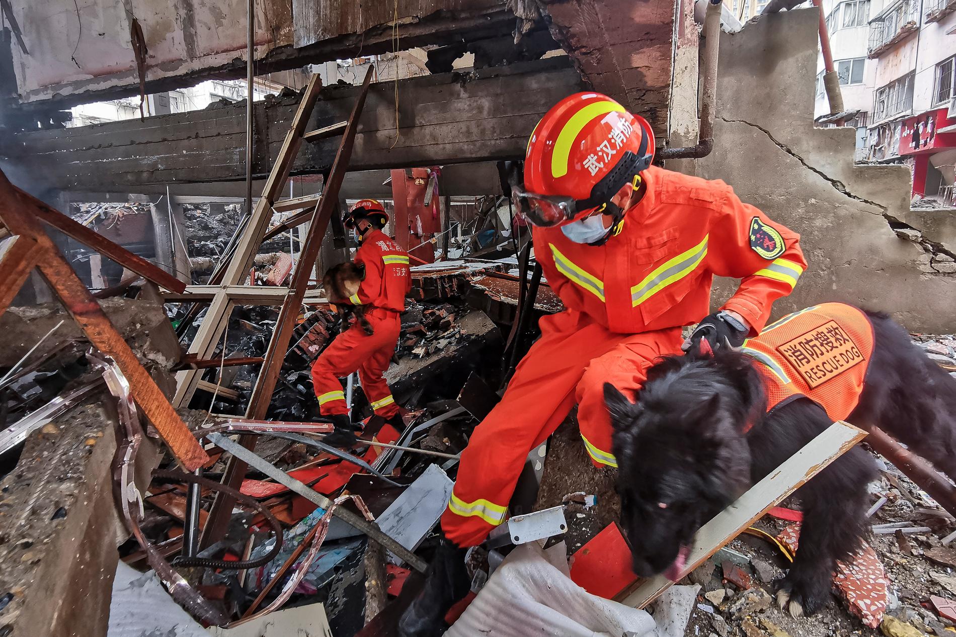 Räddningspersonal tog hjälp av hundar i sökandet efter överlevande efter explosionen.