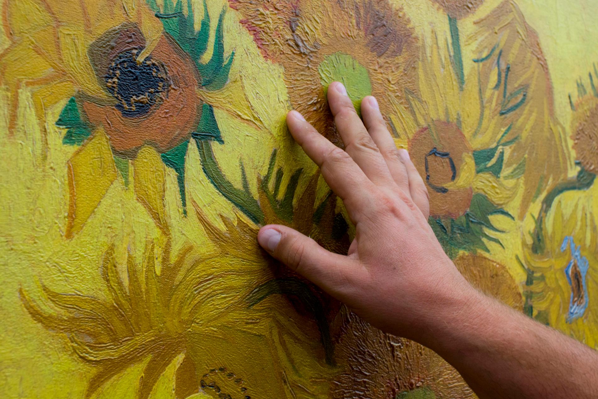 Vincent van Gogh målade flera tavlor med solrosmotiv. Arkivbild.