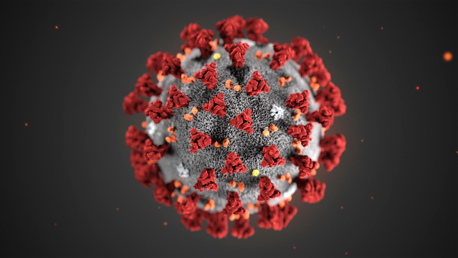 Coronaviruset förändrar sig, muterar, hela tiden och nya varianter uppstår.