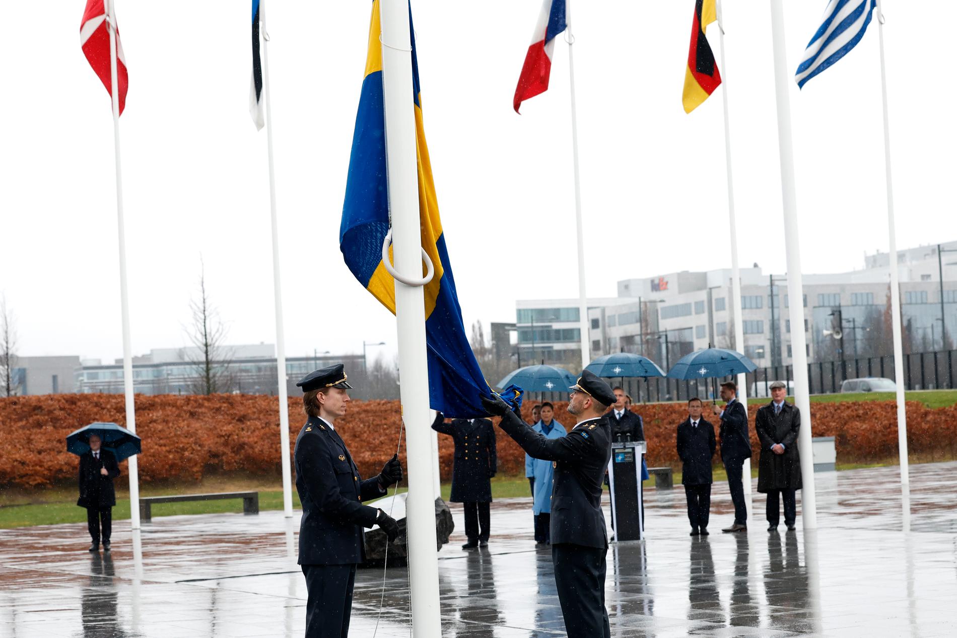 Tio politiker och en kronprinsessa flögs till Bryssel för att titta på när den svenska flaggan hissades utanför Natohögkvarteret.