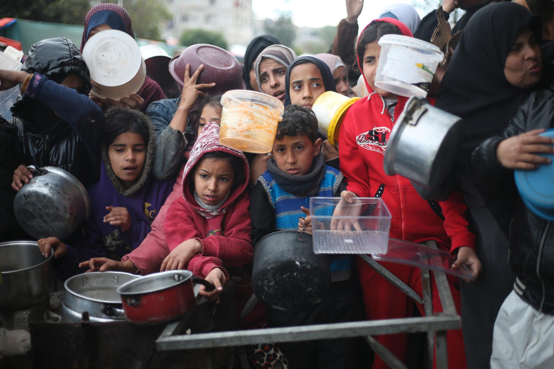 Palestienier trängs för att få mat vid en utdelningsstation.