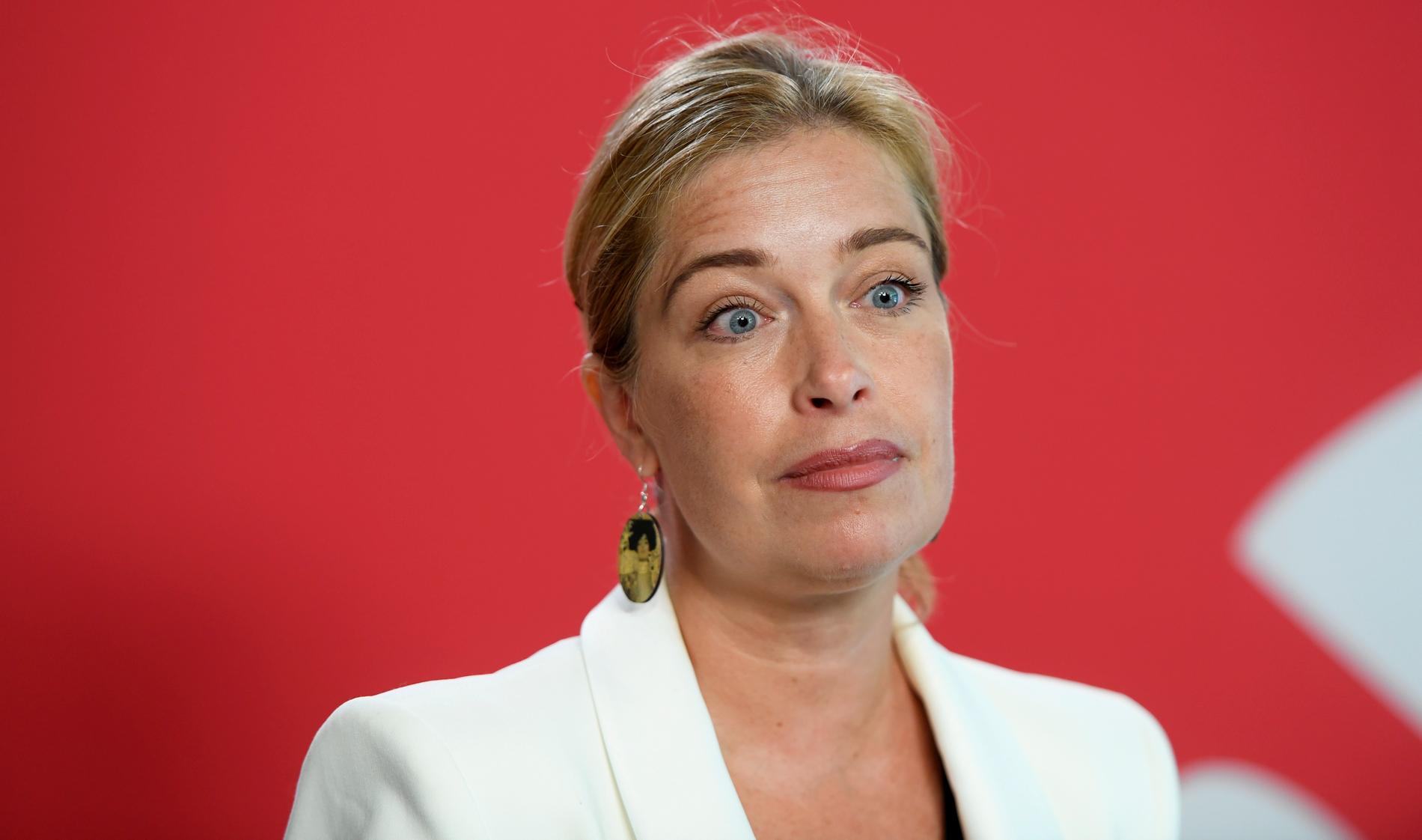 Annika Strandhäll, 47, tillträdde som miljö- och klimatminister i november förra året. 