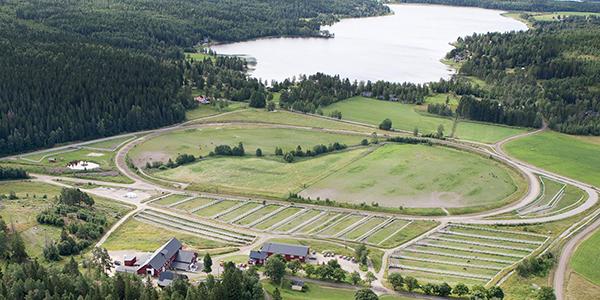 Robert Berghs gård i Töva, strax utanför Sundsvall ligger ute till försäljning för 14 miljoner. 