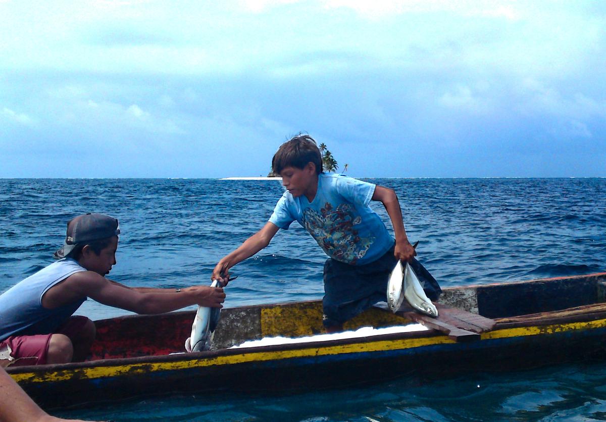 Kuna-grabbarna säljer sin nyfångade fisk direkt från kanoten på fjärden.