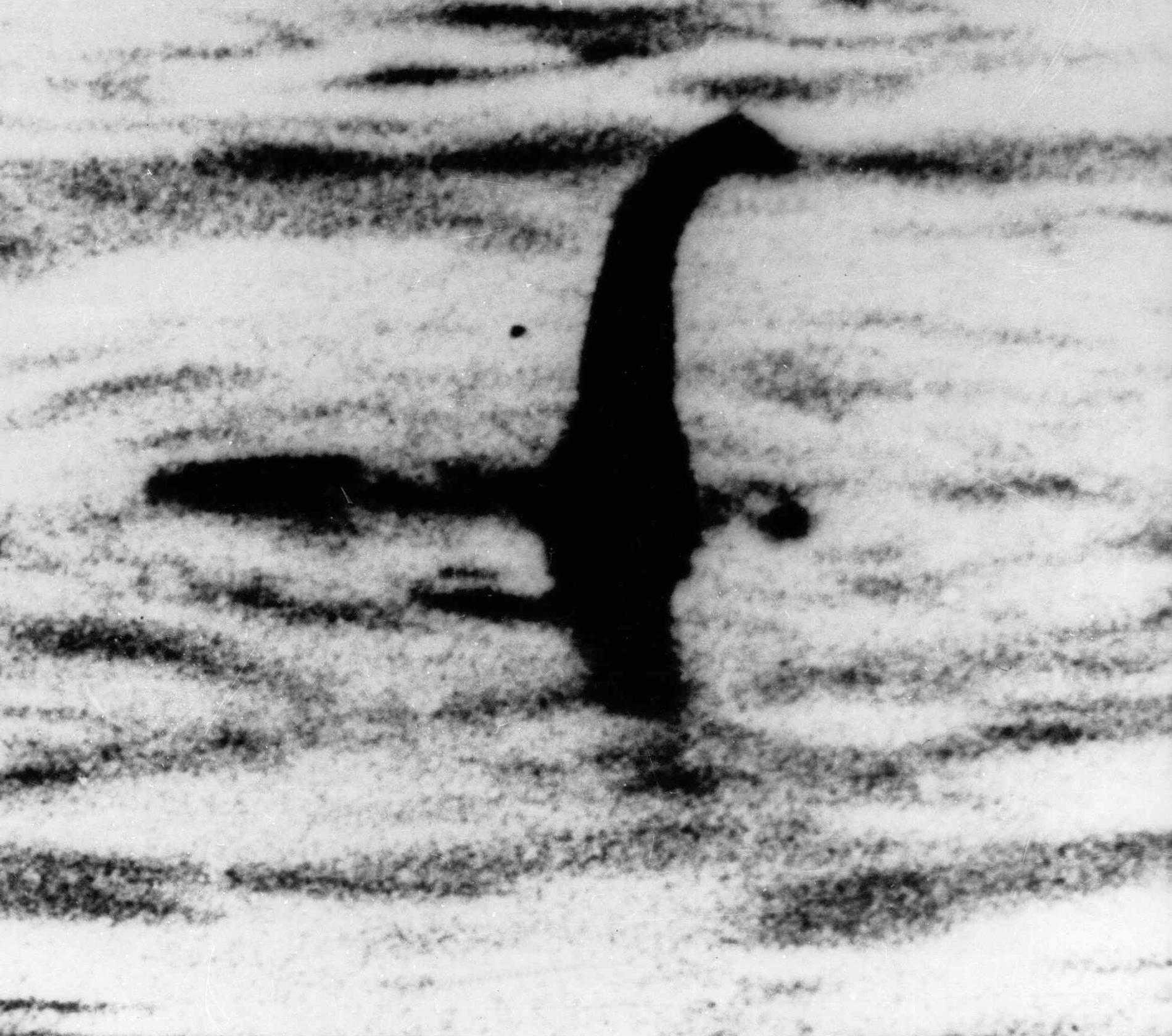 Ett odaterat foto från skotska sjön Loch Ness. Arkivbild.