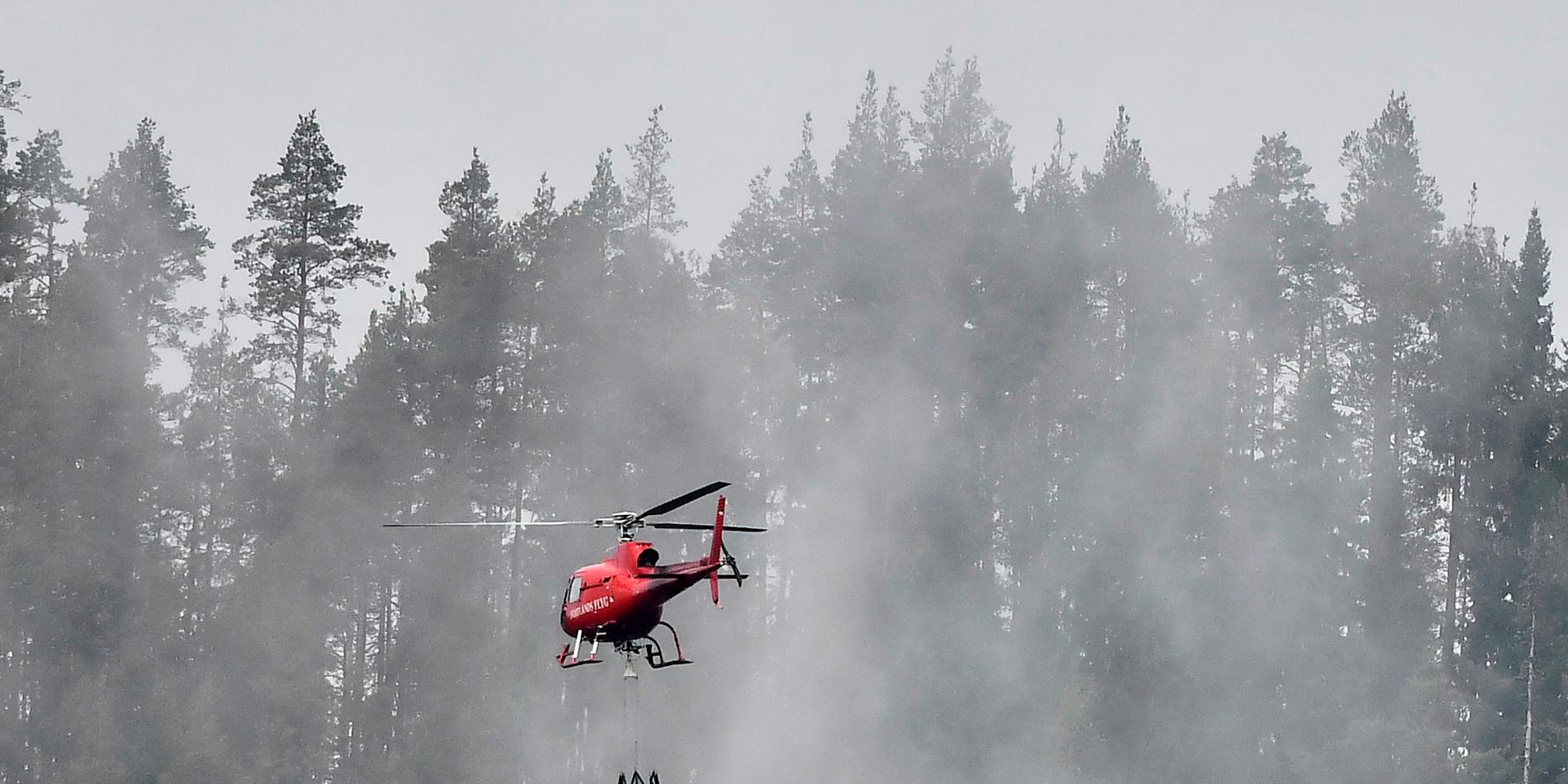 Vid skogsavverkningen revs en kraftledning ner och orsakade en stor skogsbrand nära Hargshamn. 