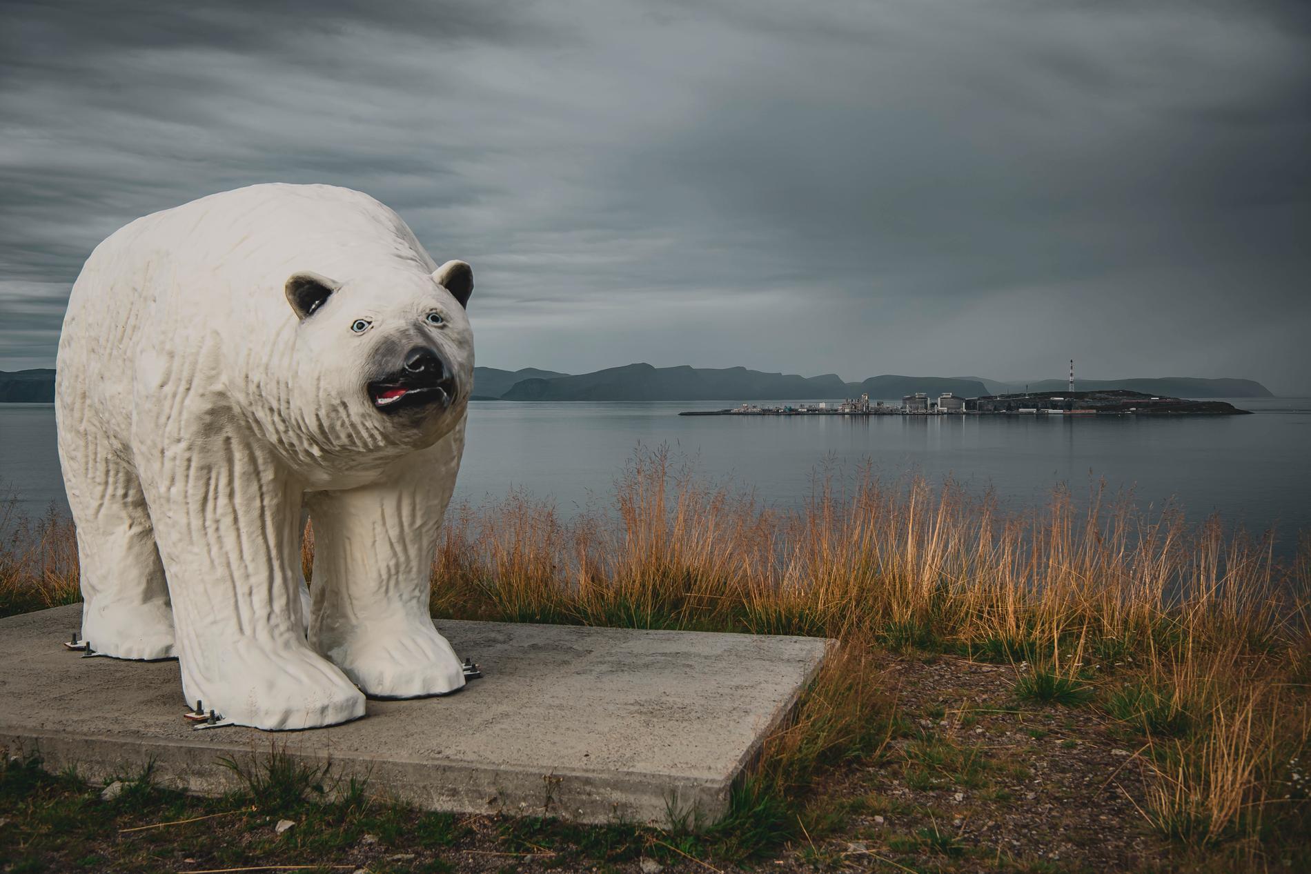 Det står en dyster isbjörn på parkeringen utanför Jysk-butiken i norska Hammerfest.