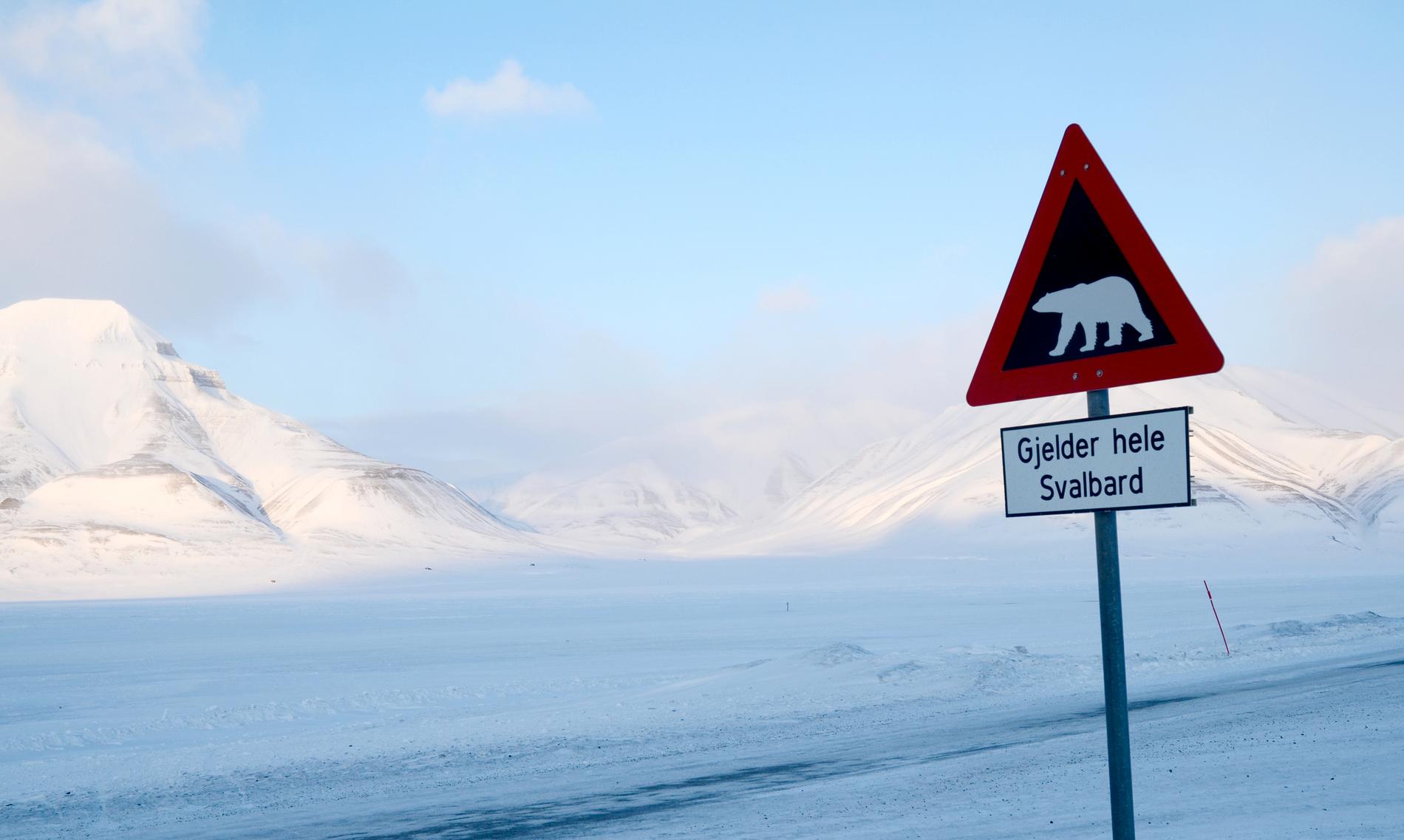 En isbjörn har dött under en helikoptertransport på norska Svalbard.