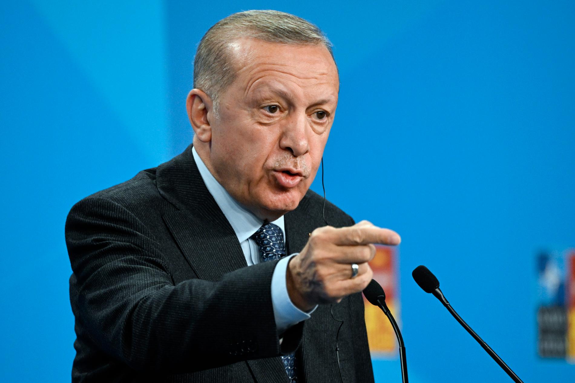 Erdogan höll sitt uttalande under Natomötet i Madrid
