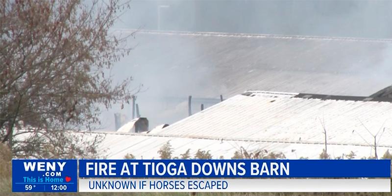 30 hästar dog i misstänkt anlagd brand på travbana.
