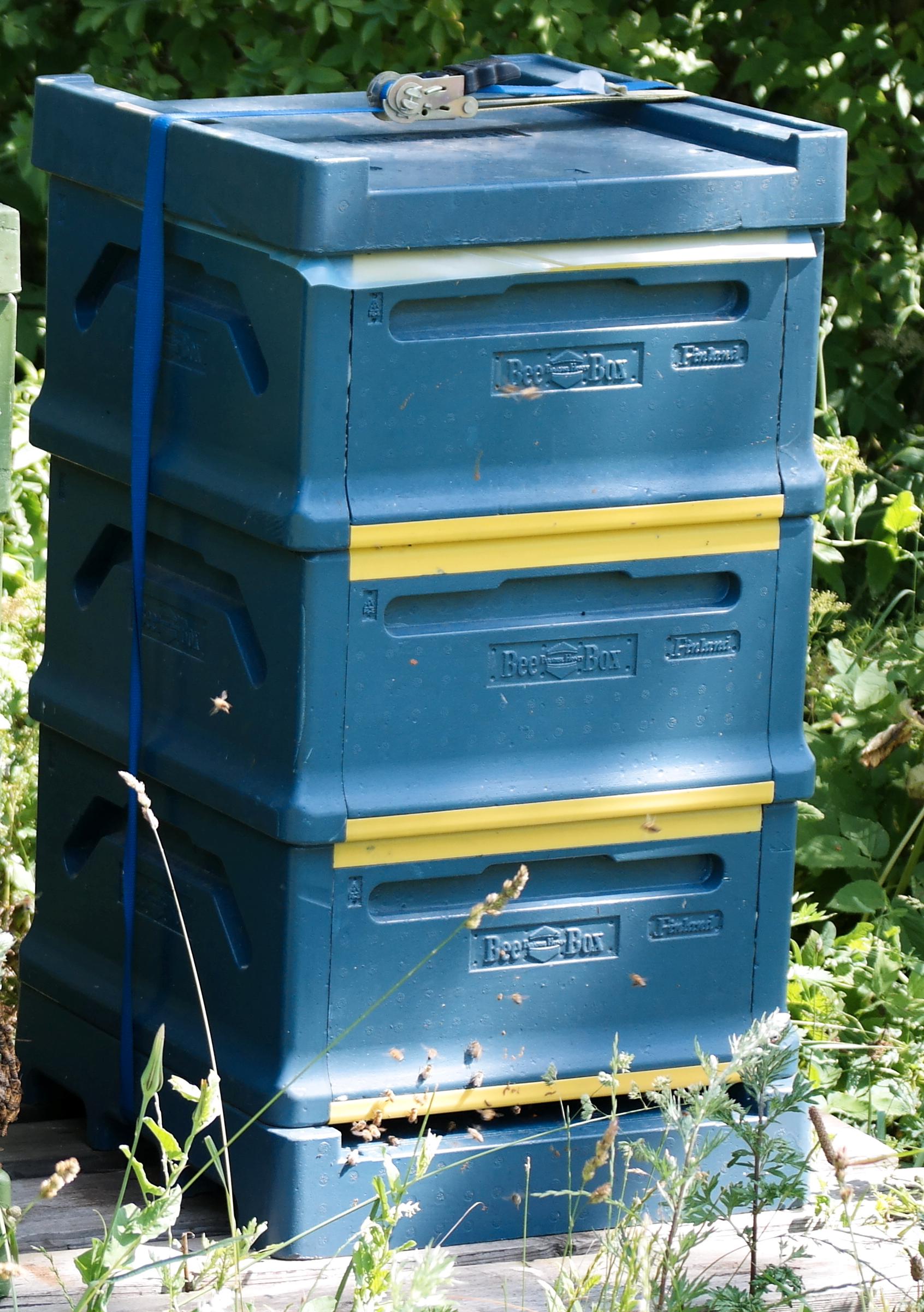 Det var sådana här blå bikupor som stals. Varje bikupa väger runt 100 kilo.