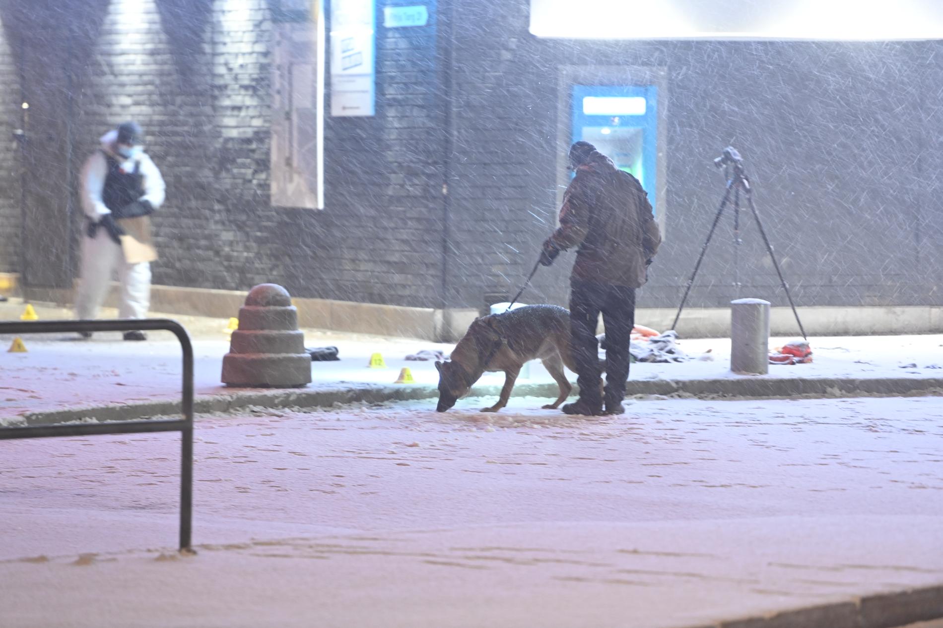 Polisen hundpatrull letar på platsen.