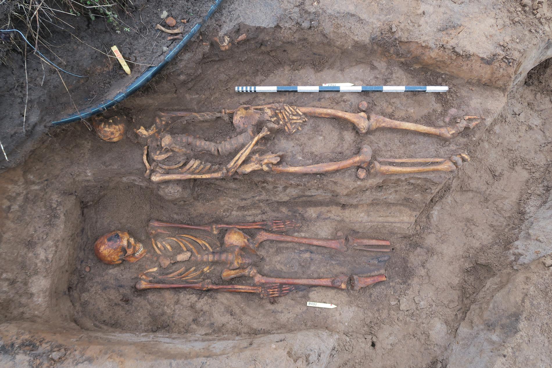 Personerna som begravdes på platsen var uppemot 190 centimeter långa.