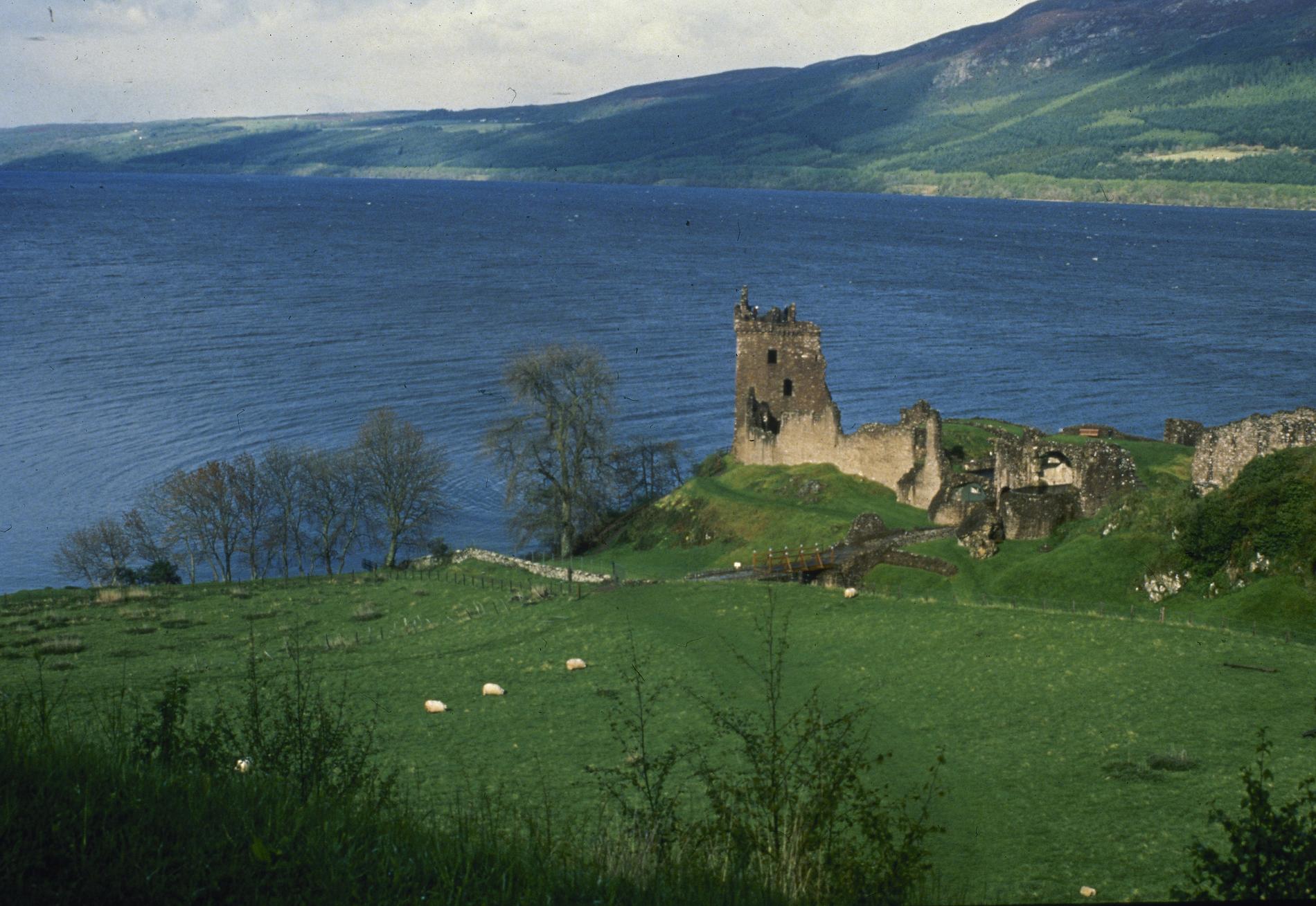 I den stora sjön Loch Ness i Skottland letar man nu efter sjöodjuret Nessie. 