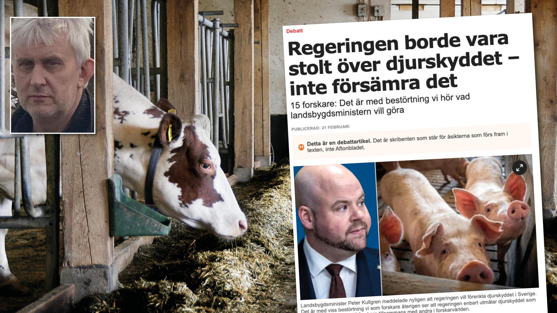 SLU-forskarnas inställning är föråldrad och de verkar rädda för förändringar som redan skett. Det enda vi vill ha är samma regler som resten av EU. Är det orimligt? Replik från Claes Jonsson, Sveriges mjölkbönder.