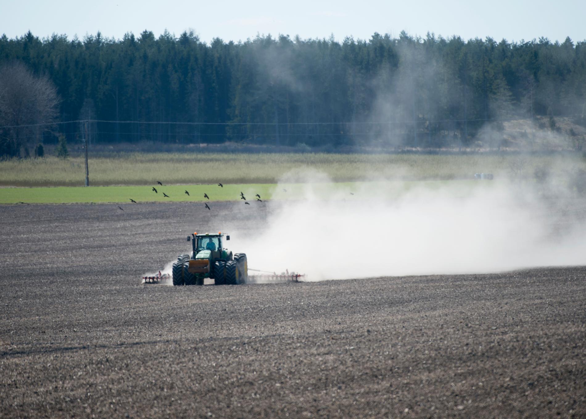 Det ekologiska jordbruket i Sverige ökar. Arkivbild.