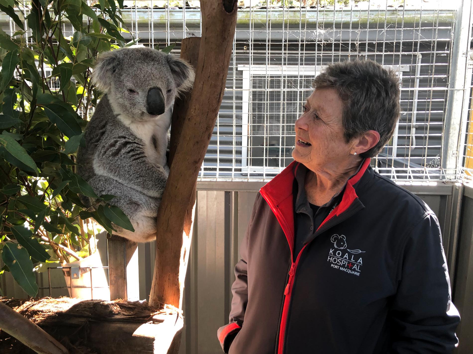Sue Ashton tillsammans med koalan George.