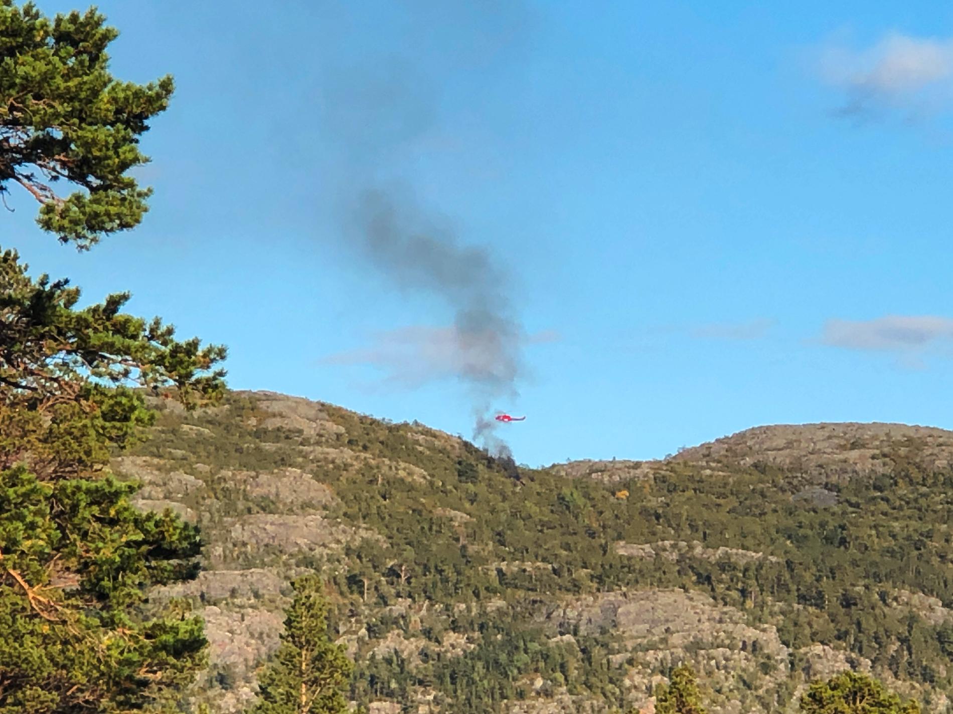 En helikopter har störtat i norra Norge utanför Alta.