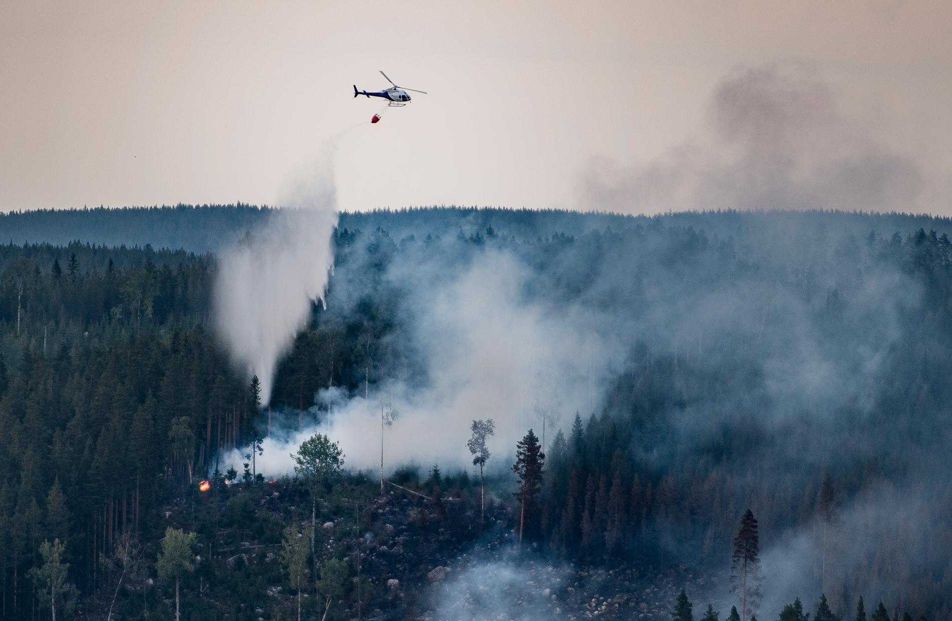 Skogsbränder i mängder drabbade Sverige som en följd av rekordvärmen, här vattenbombar helikopter en brand vid Ängeråns naturreservat, Ljusdal, den 23:e juli.