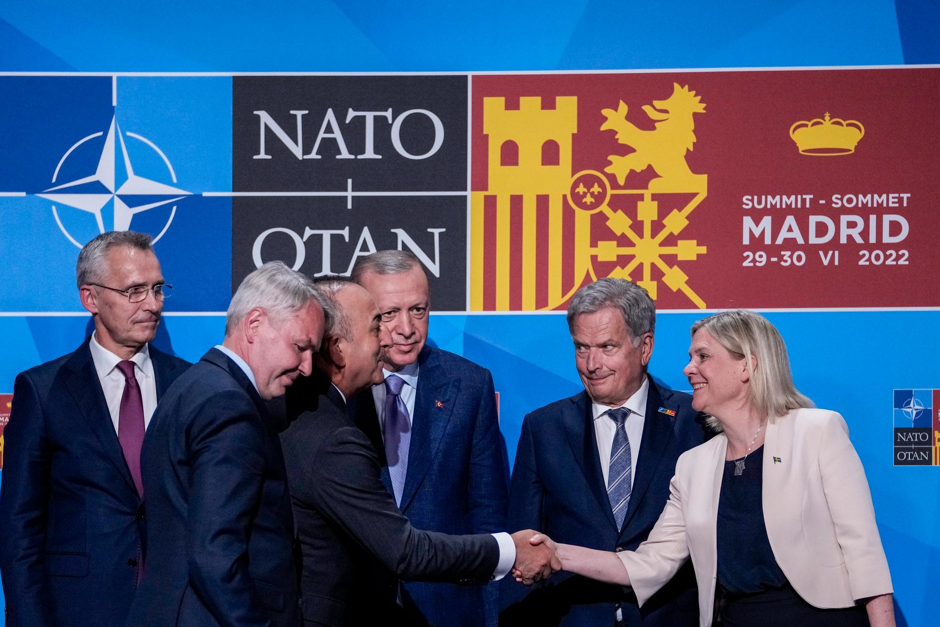 Sverige har nu fått så kallad "invitee"-status i Nato – men för ett fullständigt medlemskap måste alla länders parlament ratificera alla ansökningar.