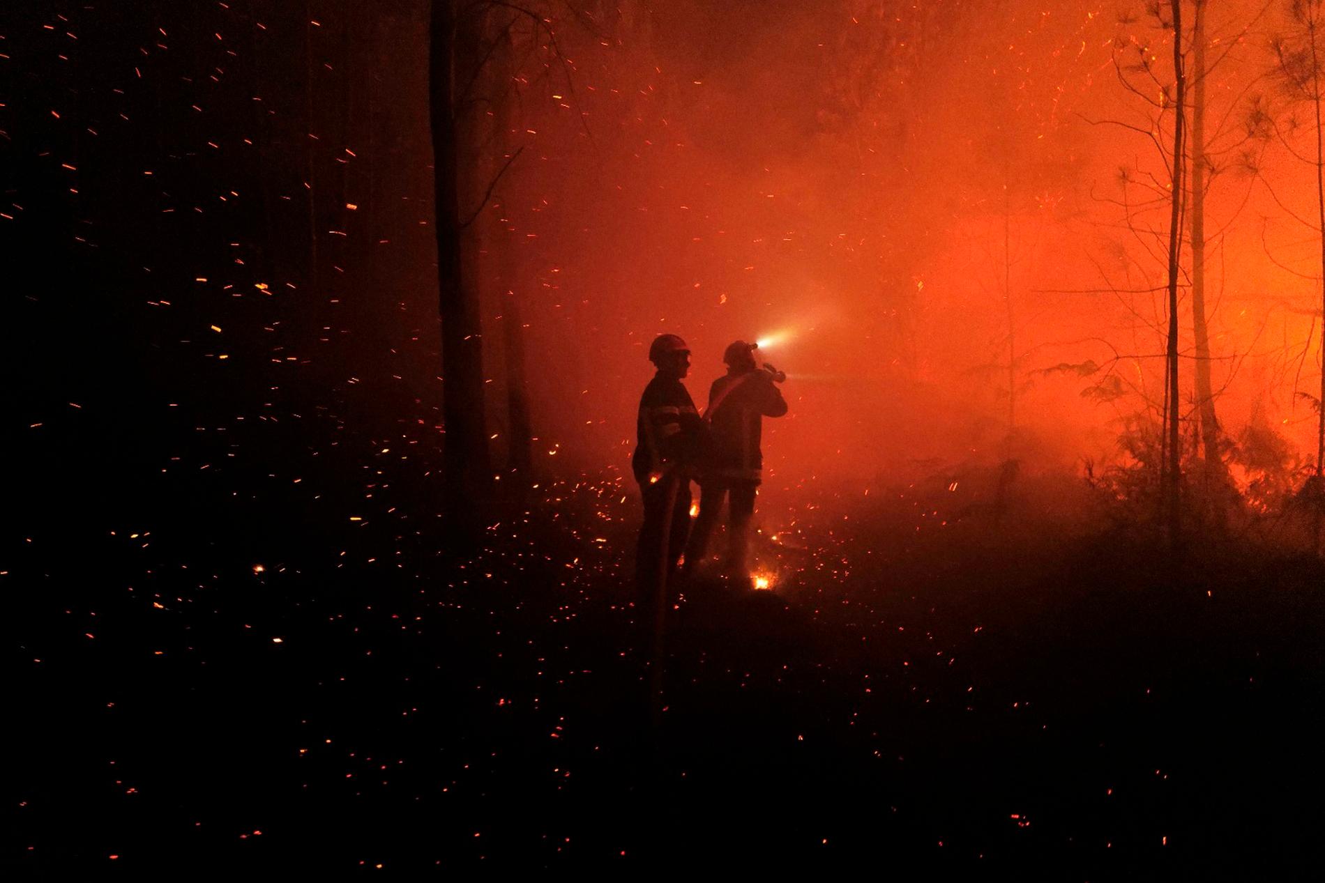Franska brandmän bekämpar bland annat en omfattande brand i Landiras i regionen Gironde i sydvästra Frankrike.