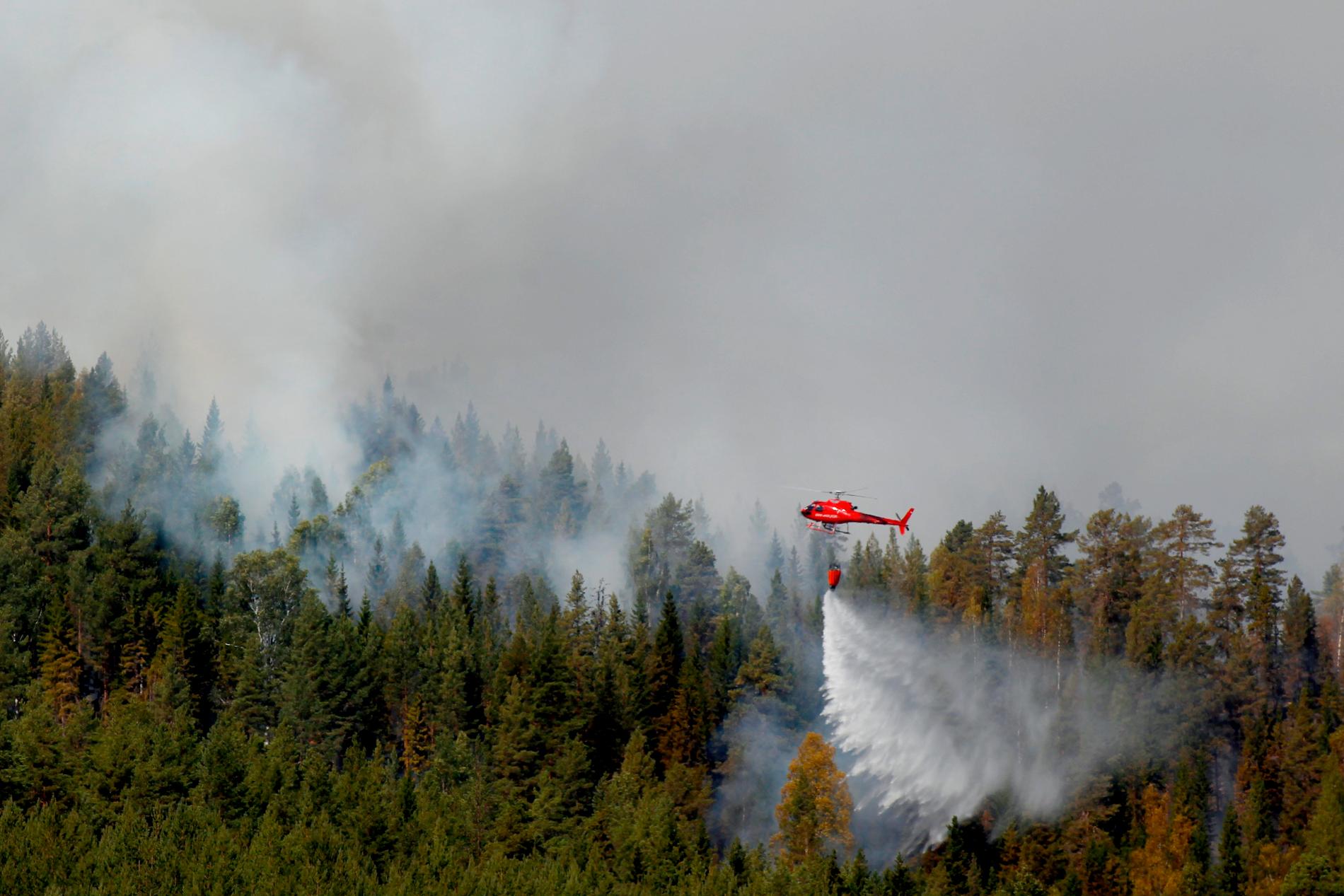 Skogsbrand vid jämtländska Pålgård på måndagen. Vattenbombning med hjälp av helikoptrar.