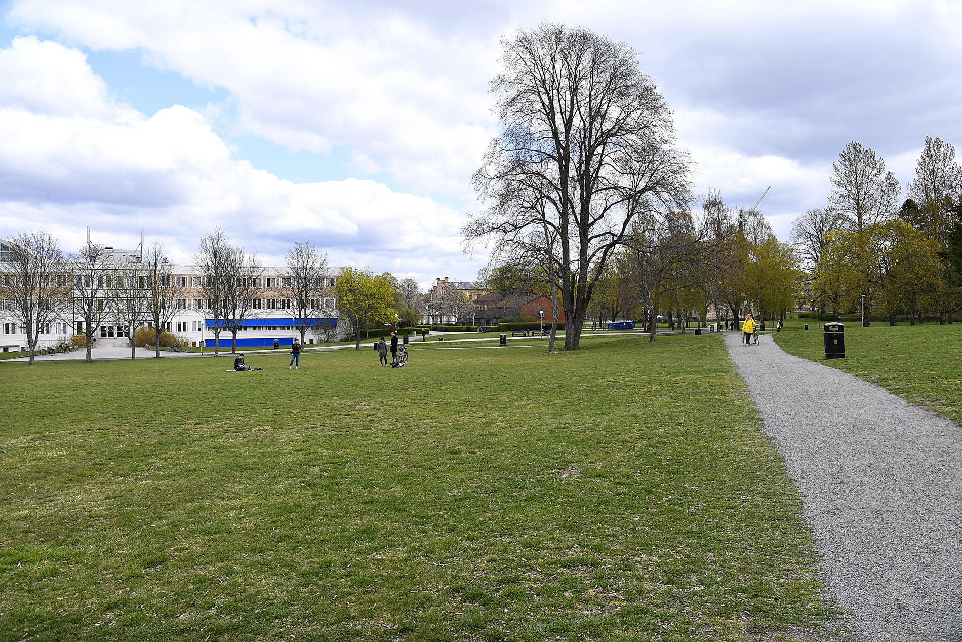 Ekonomikumparken är en av de ställen där vistelseförbud  kommer råda omkring valborg. På bilden syns parken på valborgsmässoafton 2020. Ekonomikumparken brukar normalt locka runt 50 000 personer på valborgsmässoafton.