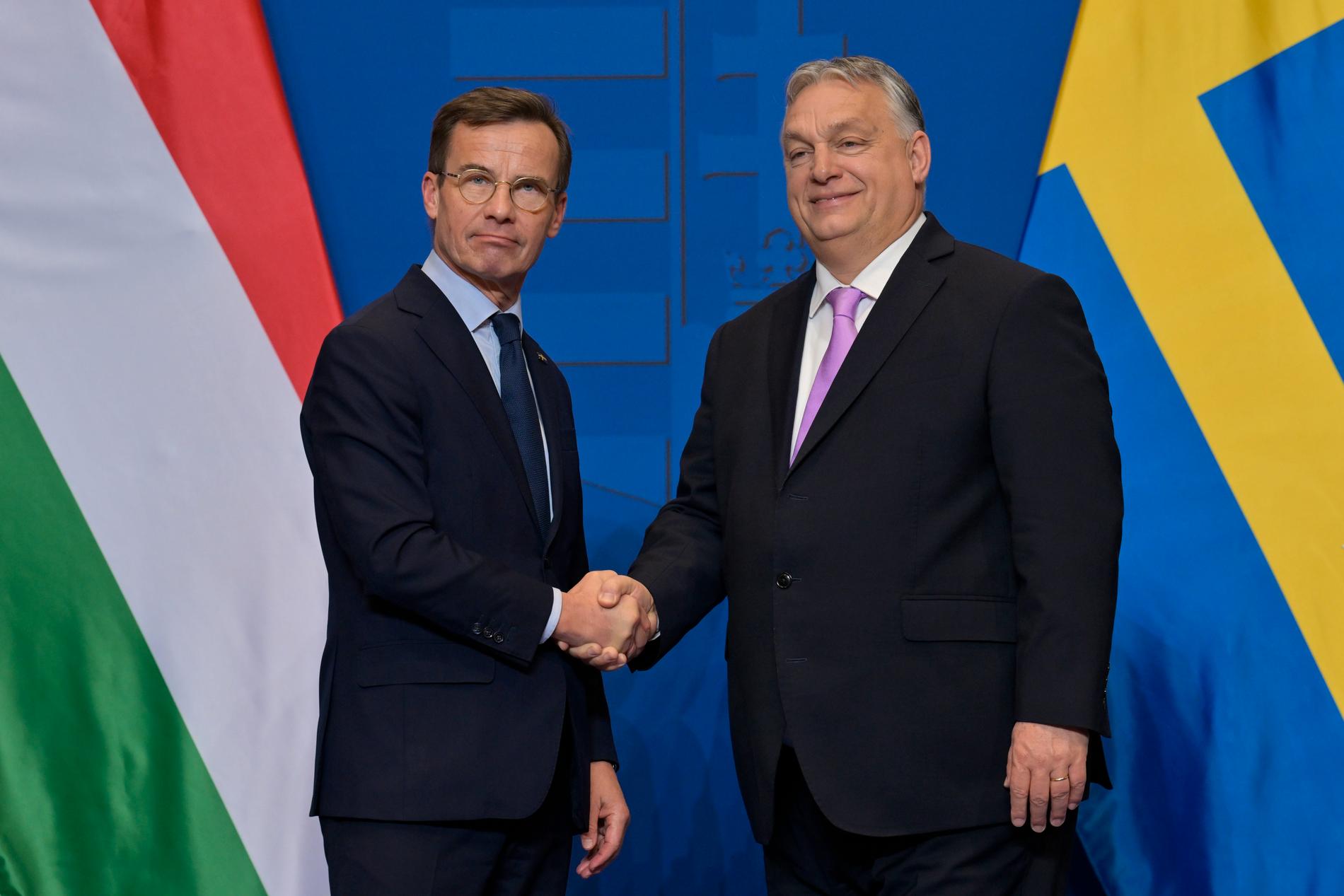 Kristersson med sin ungerske motsvarighet Viktor Orbán i Budapest i fredags.