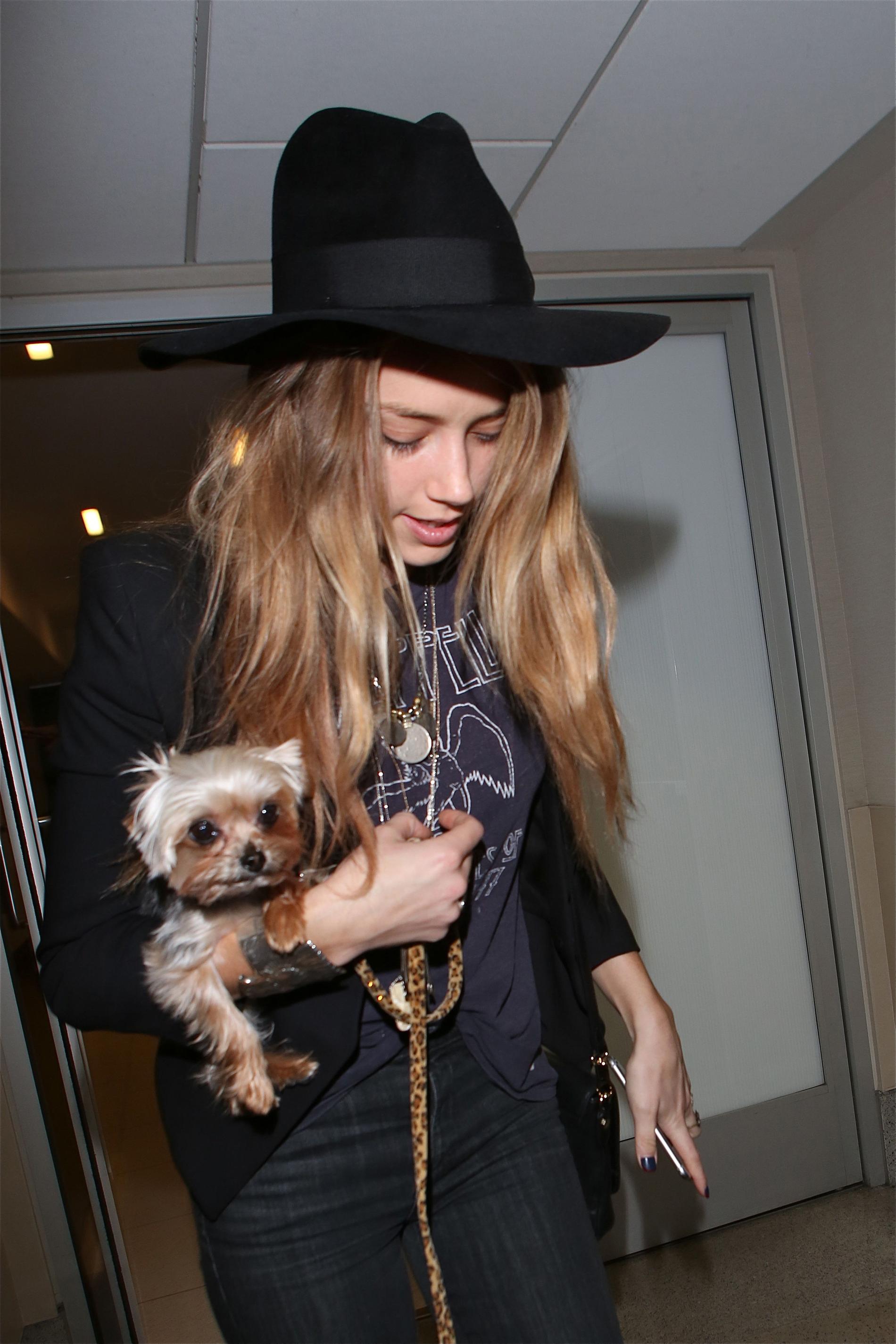 Depps kärlek Amber Heard med en av hundarna.