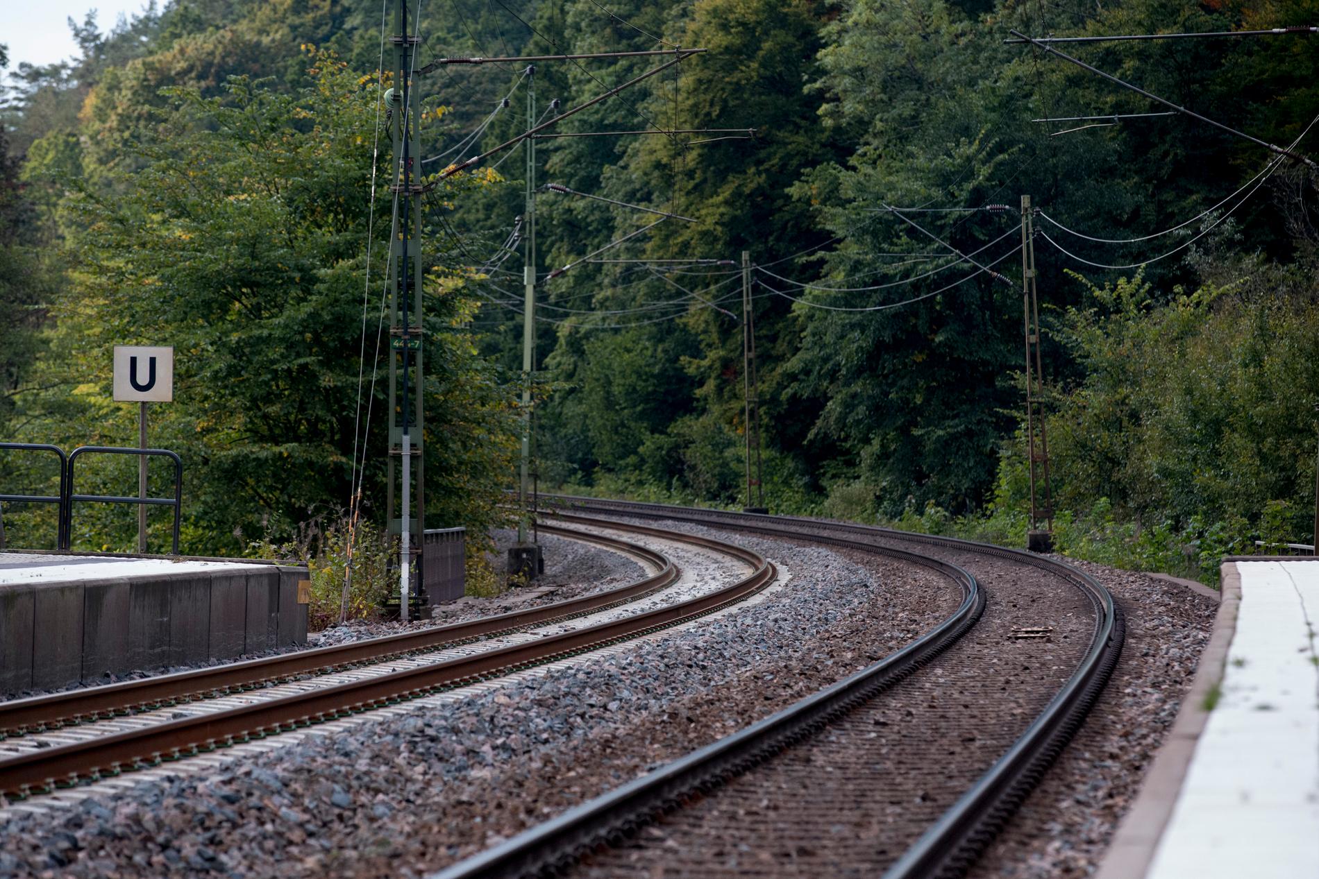 Ett elfel, ett signalfel och en olycka orsakar störningar i tågtrafiken. Arkivbild.