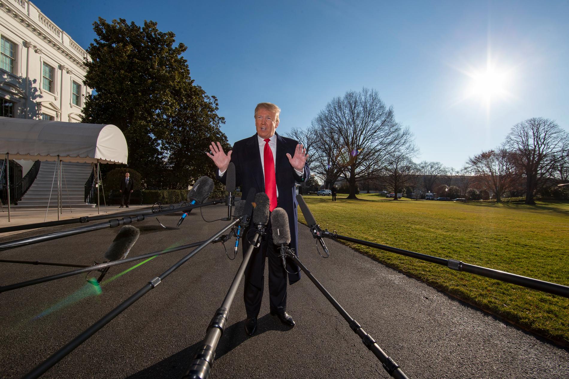 President Donald Trump hotar med sina särskilda presidentbefogenheter om han inte får en mur, men de gör honom inte allsmäktig. Bild tagen på söndagen.