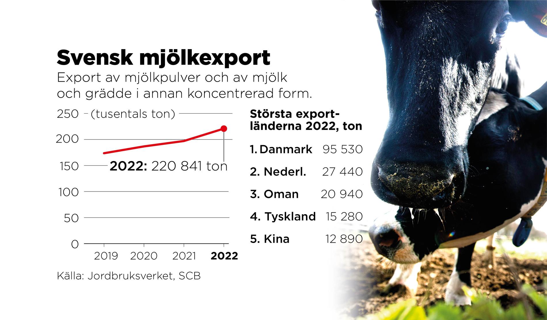 Export av mjölkpulver och av mjölk och grädde i annan koncentrerad form ökar. I takt med att svenska konsumenter i hög grad väljer importerad ost, blir pulverexporten desto viktigare för mejerier och lantbrukare.