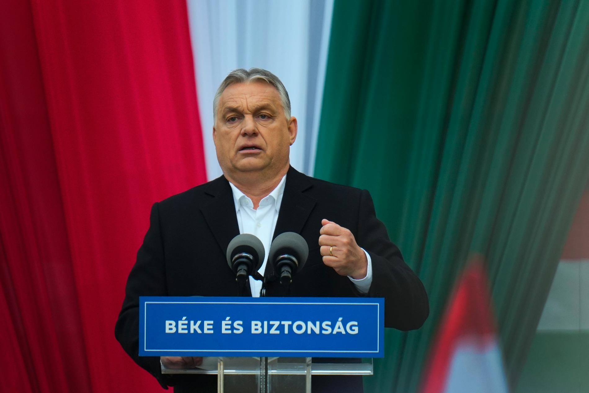 Viktor Orbán leder det ungerska regeringspartiet Fidesz.