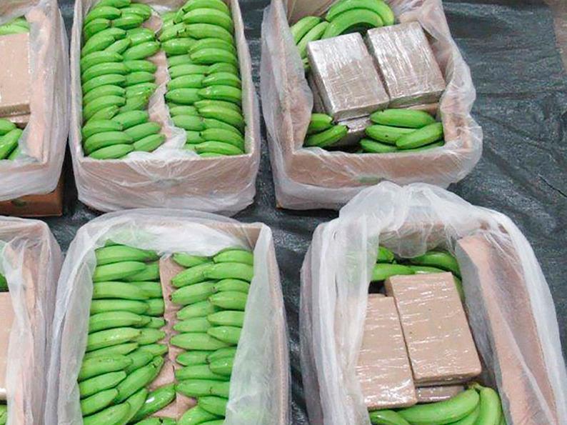 Rekordtillslaget: hittade 5,7 ton kokain i bananer