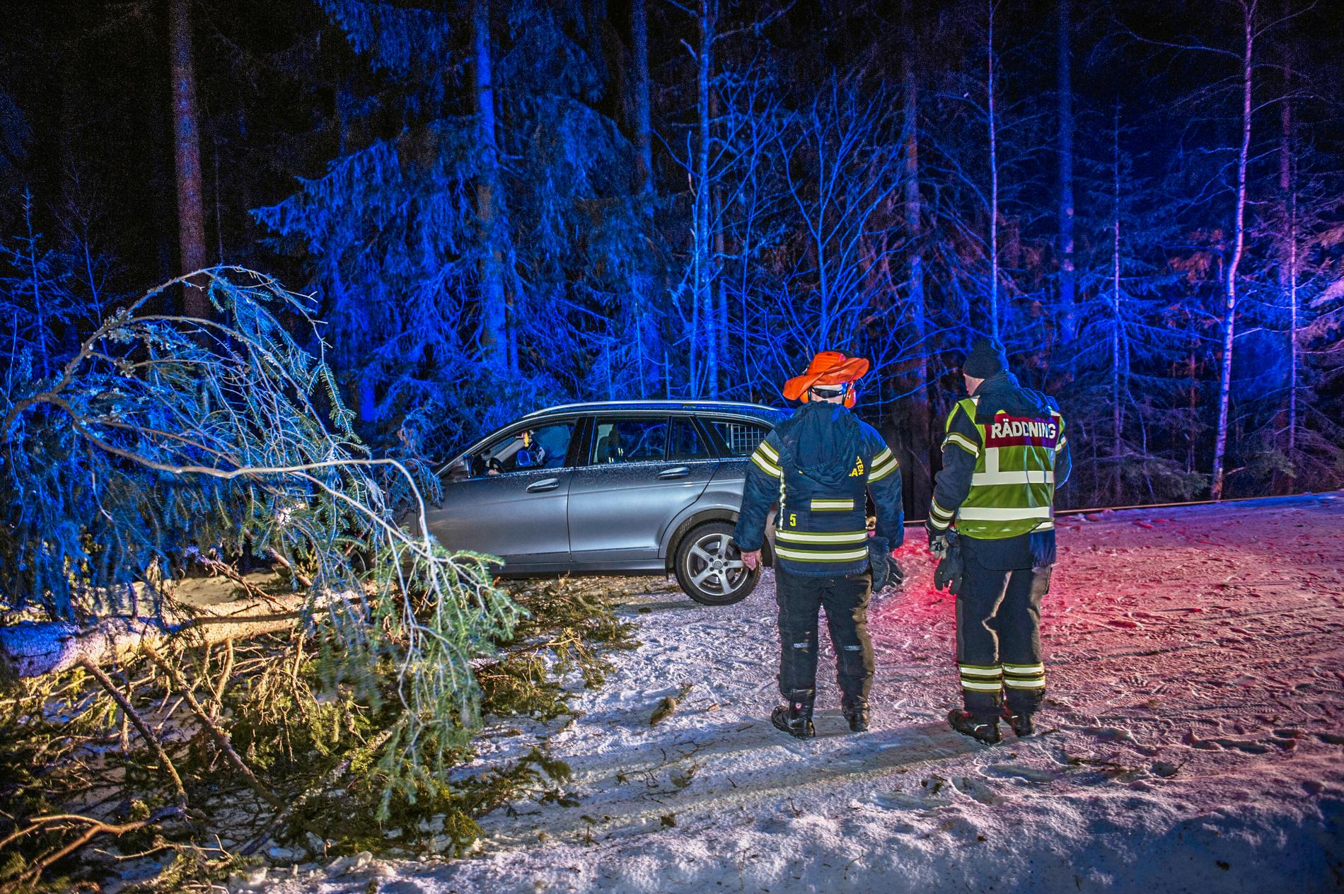 På länsväg Pålsbrenning i Hedemora krockade en personbil med träd som fallit över vägen.