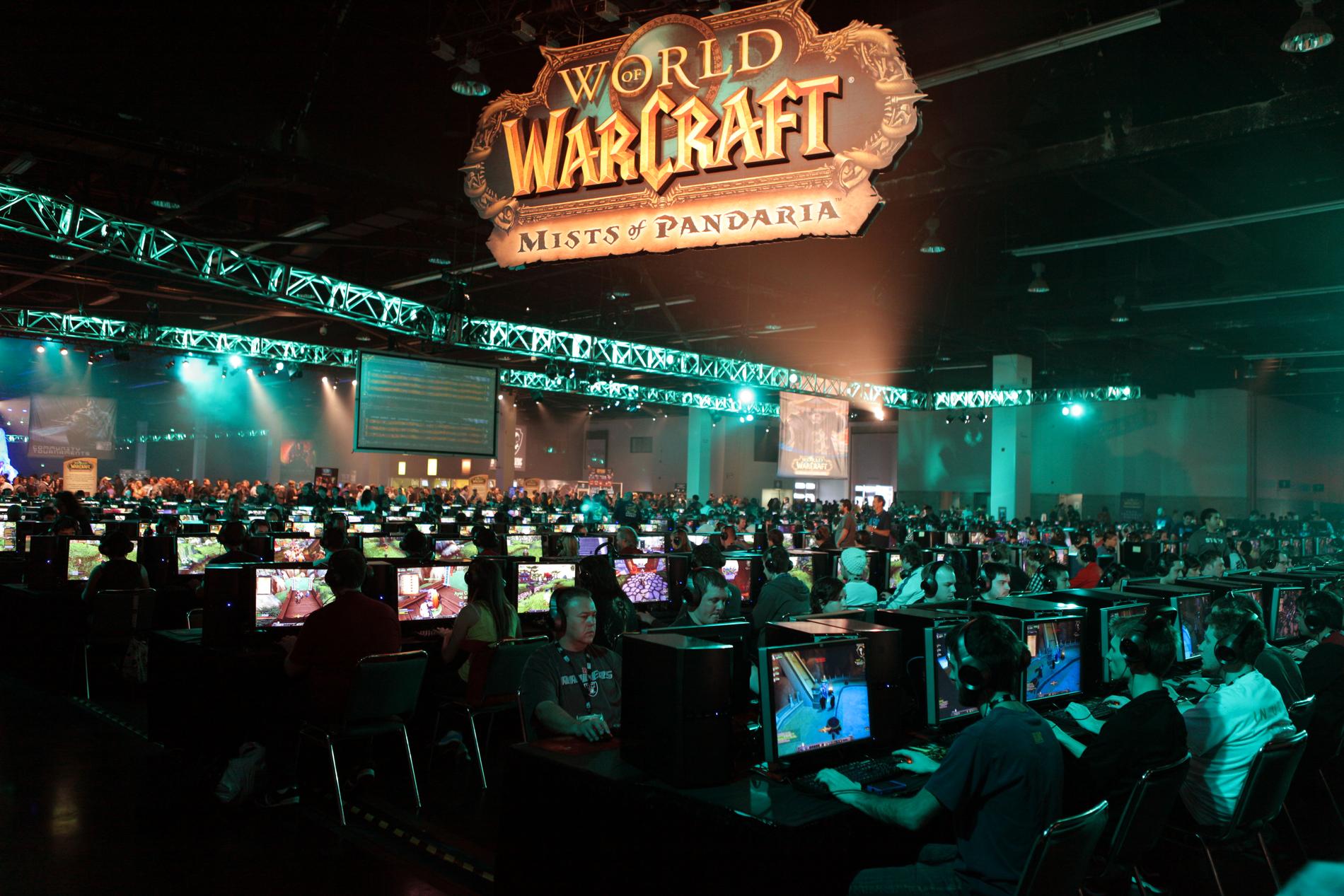 Fans spelar ”World of warcraft”.